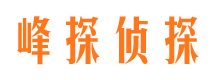 开原侦探公司